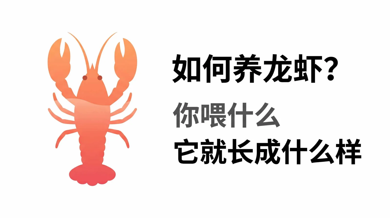 如何养龙虾？你喂什么，它就长成什么样